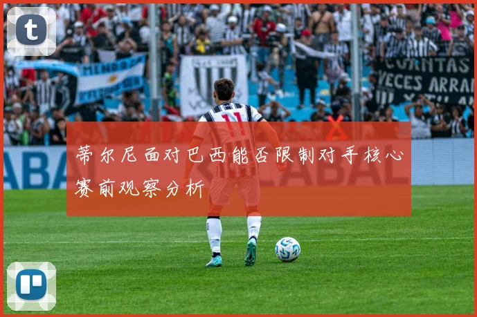 蒂尔尼面对巴西能否限制对手核心赛前观察分析