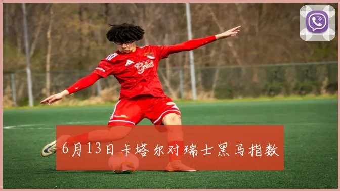 6月13日卡塔尔对瑞士黑马指数