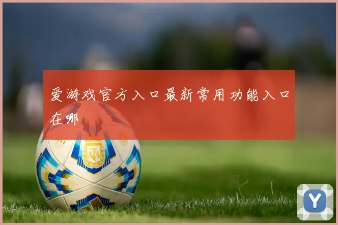 爱游戏官方入口最新常用功能入口在哪