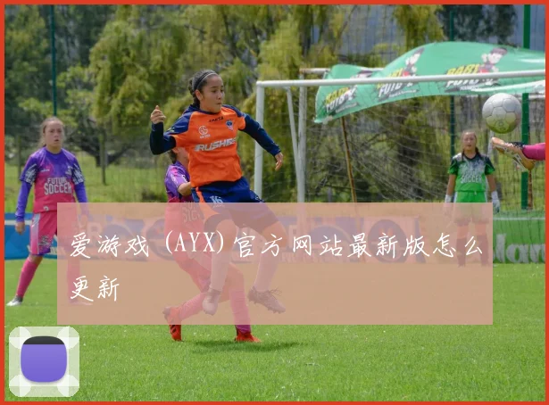 爱游戏 (AYX)官方网站最新版怎么更新