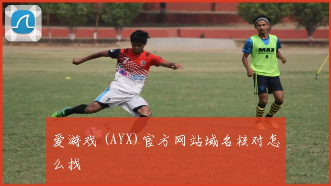 爱游戏 (AYX)官方网站域名核对怎么找