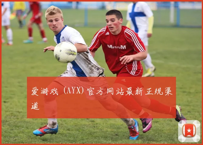 爱游戏 (AYX)官方网站最新正规渠道
