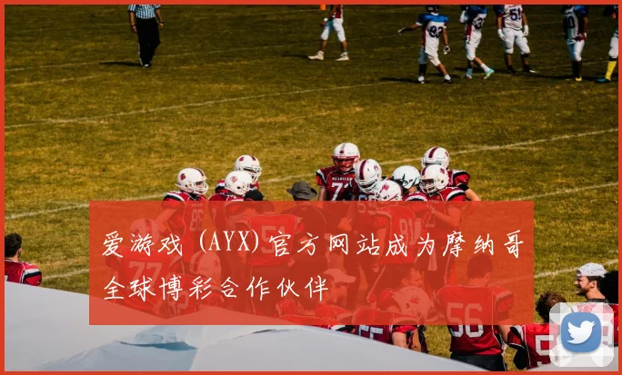 爱游戏 (AYX)官方网站成为摩纳哥全球博彩合作伙伴