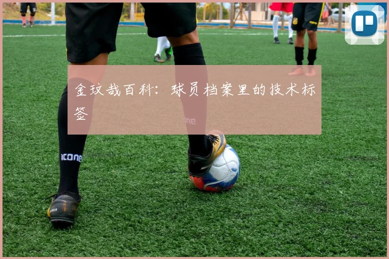 金玟哉百科：球员档案里的技术标签